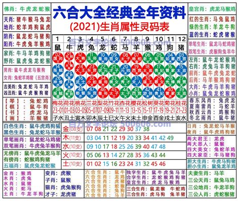 2024 咩生肖|2024年生肖表 2024年生肖表图